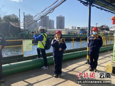 西南銅業開放環保成果，市民見證廢水養錦鯉、餐廚垃圾變資源